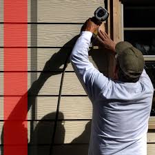 Best Fascia and Soffit Installation  in Spring Valley, IL